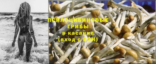 apvp Абинск