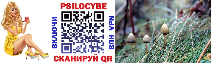 Галлюциногенные грибы Psilocybe  Гаврилов Посад 